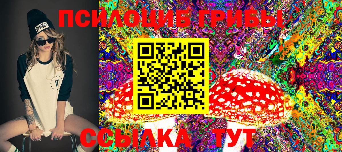 Псилоцибиновые грибы Cubensis  наркота  Гусь-Хрустальный  Вход с VPN 